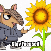 Focus Wisdom GIF by Chillo Dillo