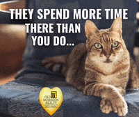 Real Estate Friday GIF by Old Dominion Realty