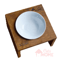 CatsHome cat food hungry katze Sticker