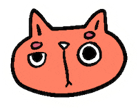 Confused Cat Sticker