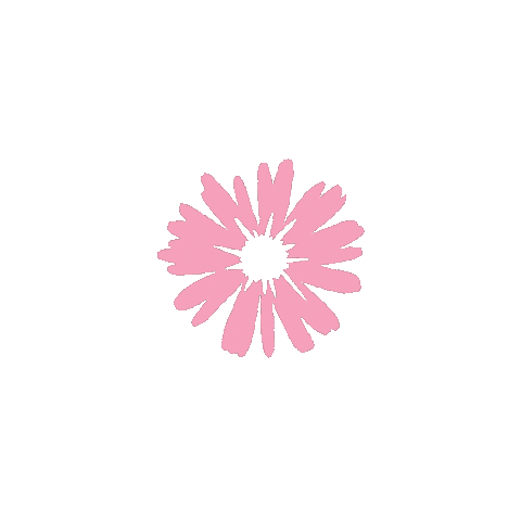 Scrapgami giphyupload flower bow flor Sticker
