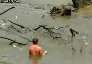 fish swimming GIF by Cheezburger