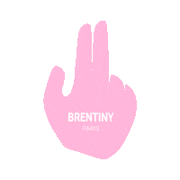 Pink Shopping Sticker by Brentiny Paris