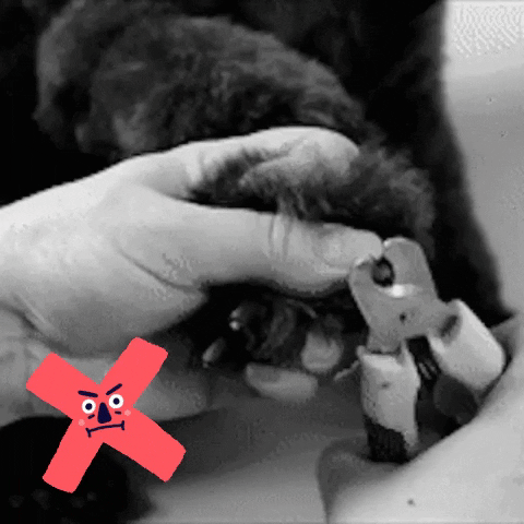 GrabYoursTODAY giphygifmaker giphyattribution GIF