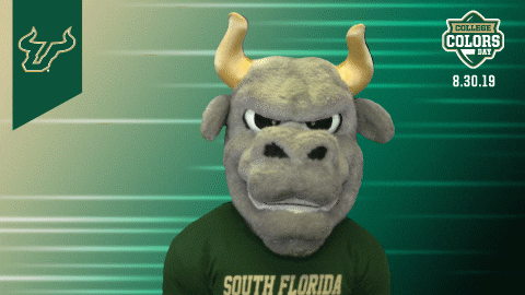 College Sports Mascots GIF by College Colors Day