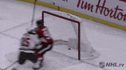 happy ice hockey GIF by NHL