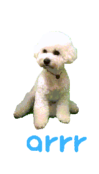 아르르 Sticker by arrr_official