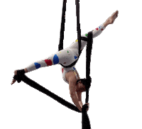Aerial Silks Sticker by Polecats Manila