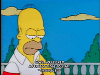 Season 1 GIF by The Simpsons