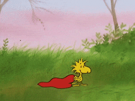 Valentines Day Valentine GIF by Peanuts