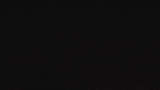 GIF by Yellow Zebra Safaris