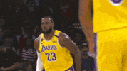 Assist Los Angeles GIF by NBA