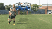joe boyd cnms18 GIF by Carson-Newman Athletics