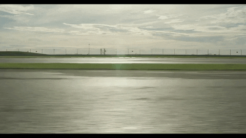 Formula 1 Mexico GIF by Red Bull Racing
