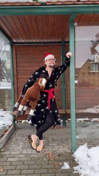 jkinski christmas xmas horse waiting GIF
