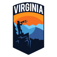 Vote Early Terry Mcauliffe Sticker by INTO ACTION