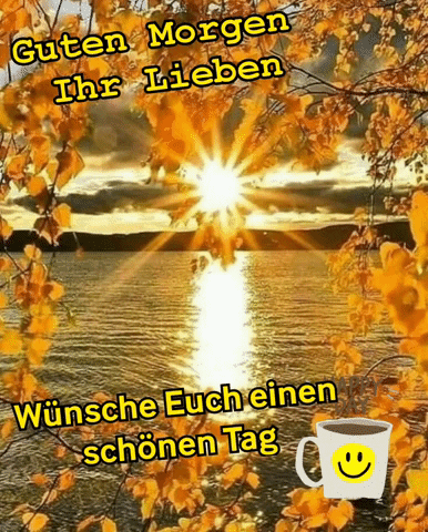 Monicolus giphyattribution wünsche euch einen schönen tag GIF