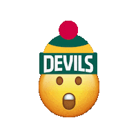 Australian Football League Afl Sticker by tasmaniafc