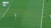 Libertadores Da America Colorado GIF by Sport Club Internacional