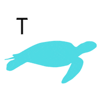 Color Truth Sticker by pipikwan pêhtâkwan