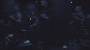 GIF by Row Republic