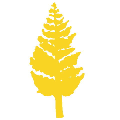 ReforestamosMX giphyupload arbol reforestamos Sticker