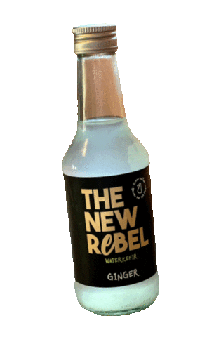 Kefir Waterkefir Sticker by Spice Up Your Qi