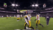 Excited Celebration GIF by Pittsburgh Steelers