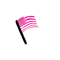 Usa America Sticker by watson.ch