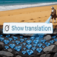 Translate Best Video GIF