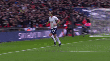 london football GIF by Tottenham Hotspur
