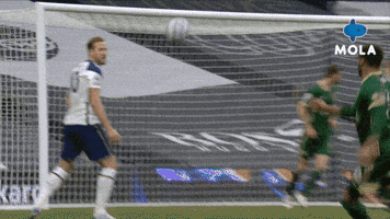 Disappointed Premier League GIF by MolaTV