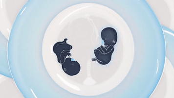 animation babyfood GIF by Ana Pérez López