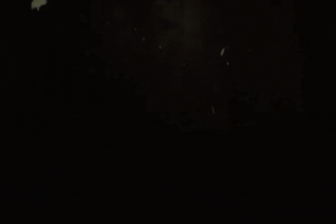 littlewavemakes giphyupload animation throwback 8mm GIF