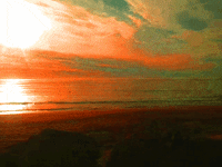 GIF by Jaime Martinez