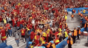 excited euro 2016 GIF by Sporza