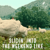 Excited Fun GIF by Foster Farms