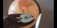 Education Biology GIF by DIIMSA Stock