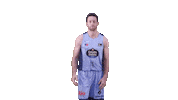 Vamos Liga Endesa Sticker by ACB
