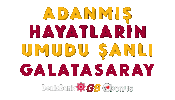 DenizBankTR galatasaray denizbank gsbonus Sticker