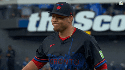Lets Go Sport GIF by Toronto Blue Jays