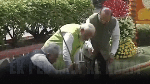 Jungle Modi GIF