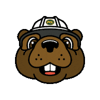 pcl_construction construction beaver pcl constructionlife Sticker