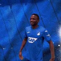 Sport Bundesliga GIF by TSG Hoffenheim