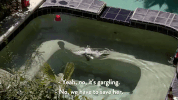comedy central season 6 episode 6 GIF by Workaholics
