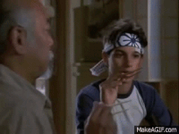 flies GIF