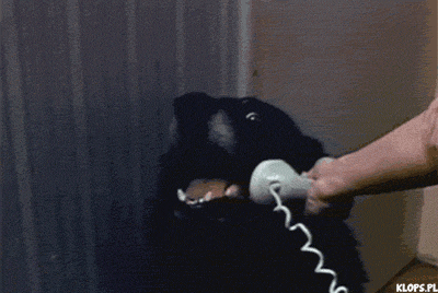 call me GIF