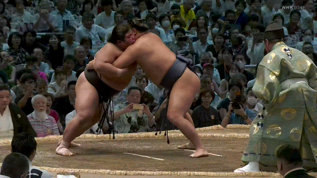 TZ85 giphyupload sumo 2023 nagoya basho hoshoryu GIF