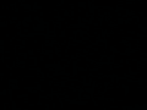 season 3 missing identity GIF by SpongeBob SquarePants