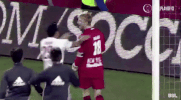 red bulls ii celebration GIF by NYRB II